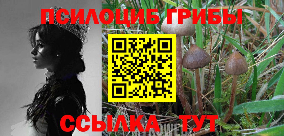 Псилоцибиновые грибы MAGIC MUSHROOMS Югорск