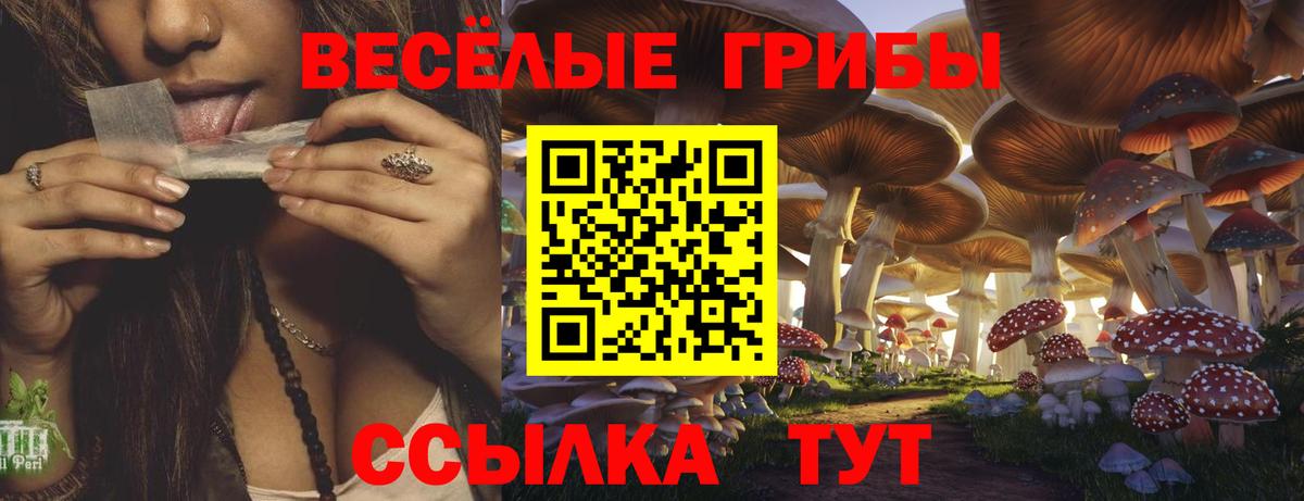 Псилоцибиновые грибы Cubensis  Псилоцибиновые грибы Psilocybine cubensis  Вход с VPN  Югорск 